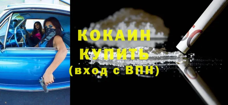 Кокаин Fish Scale  сайты даркнета какой сайт  Новокубанск 