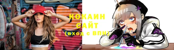 трава Новозыбков
