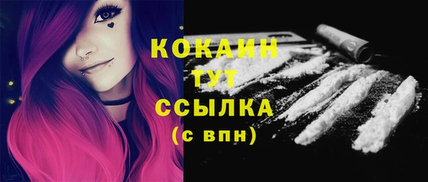 трава Новозыбков