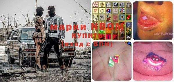 ешки Новодвинск