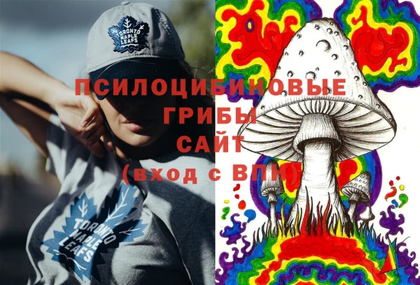 трава Новозыбков