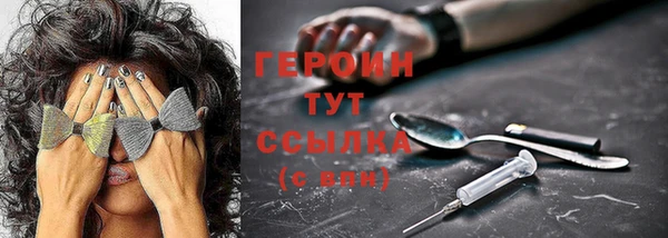 трава Новозыбков