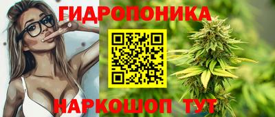 apvp Аргун