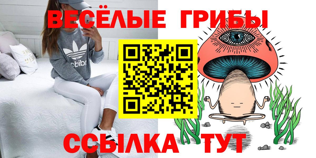 Галлюциногенные грибы Psilocybe Новокубанск