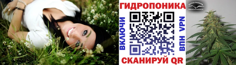 Канабис тримм купить наркотик Новокубанск
